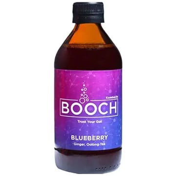 Booch - Blueberry Ginger 300ml