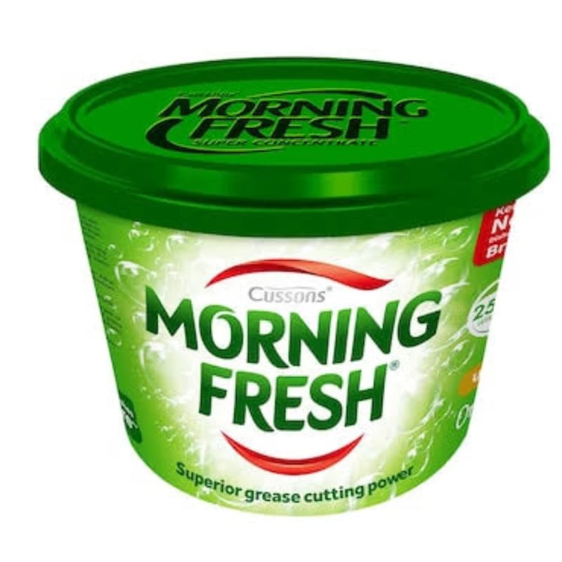 Morning Fresh Paste 400G